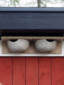 Linnunpönttö / Pääskynpesä / Räystäspääskyn Rivitalo / Schwegler 9A / Puu-betoni