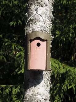 Vihreä tikankestävä linnunpönttö / Schwegler 1B / Materiaalina puu-betoni