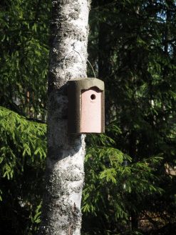 Vihreä tikankestävä linnunpönttö / Schwegler 1B / Materiaalina puu-betoni