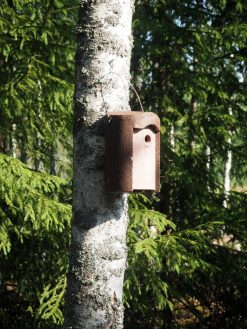 Ruskea tikankestävä linnunpönttö / Schwegler 1B / Materiaalina puu-betoni