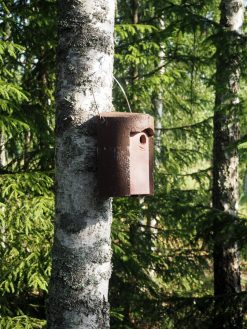 Ruskea tikankestävä linnunpönttö / Schwegler 1B / Materiaalina puu-betoni