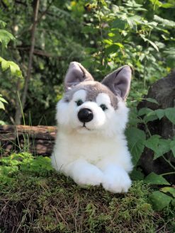 Siperianhusky Makaava 39 cm