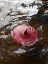 Järviroihu / Isotuli / Ulkotuli / Kelluva Kynttilä | Viininpunainen / Karpalo