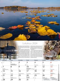 Luonnonkalenteri 2024 / Luontokalenteri | Lokakuu