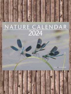 Luonnonkalenteri 2024 Englanti / Nature Calendar | Suomen Luonnonsuojeluliitto