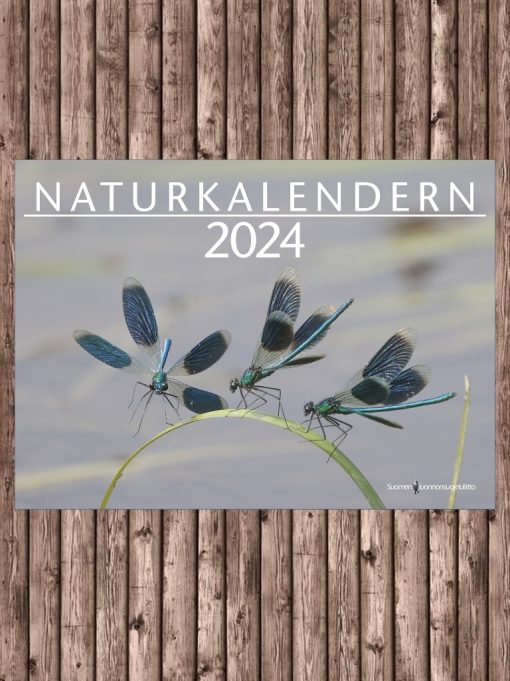 Luonnonkalenteri 2024 Ruotsi / Naturkalendern | Suomen Luonnonsuojeluliitto